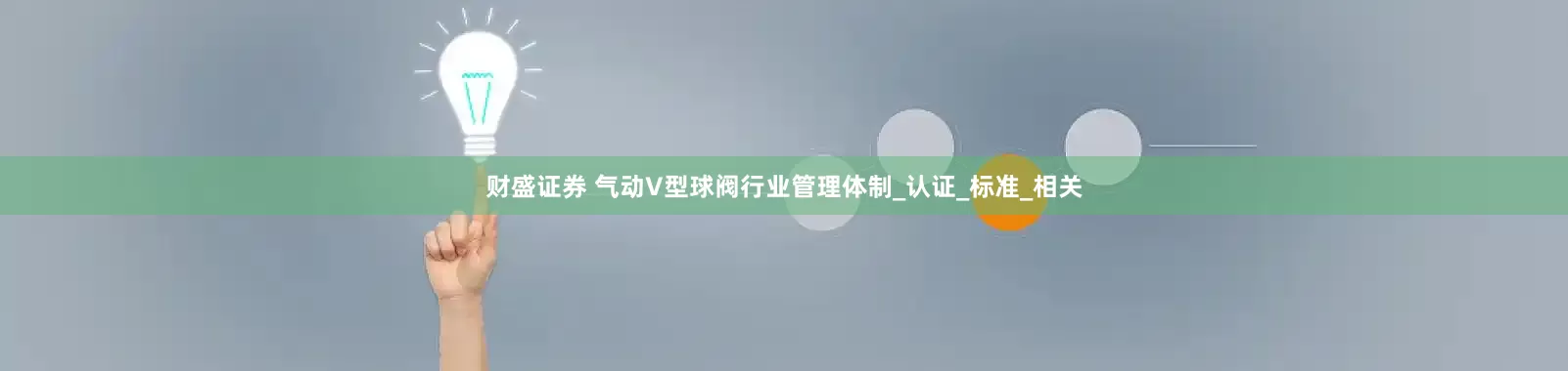 财盛证券 气动V型球阀行业管理体制_认证_标准_相关
