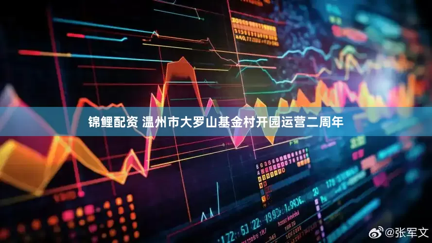 锦鲤配资 温州市大罗山基金村开园运营二周年
