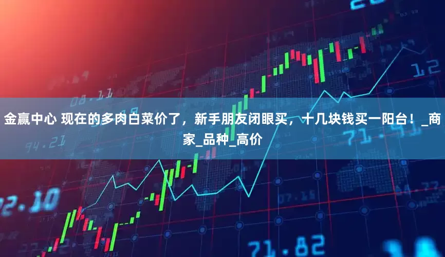 金赢中心 现在的多肉白菜价了，新手朋友闭眼买，十几块钱买一阳台！_商家_品种_高价