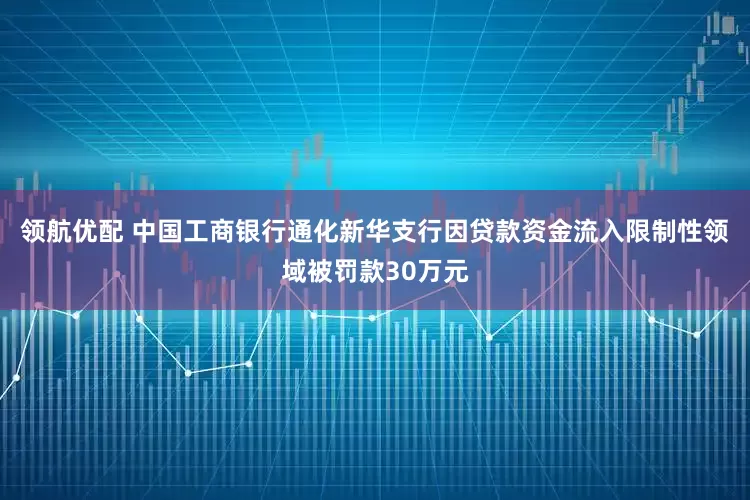领航优配 中国工商银行通化新华支行因贷款资金流入限制性领域被罚款30万元